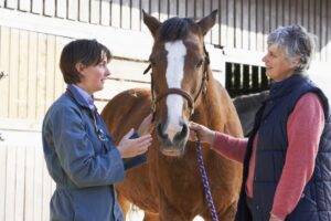 Read more about the article Tax Tips for Horse Owners